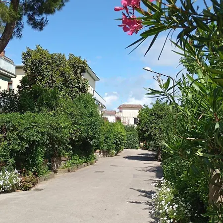 And Center Sorrento